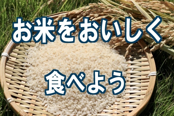 お米を適切に保管し、おいしく食べ切ろう
