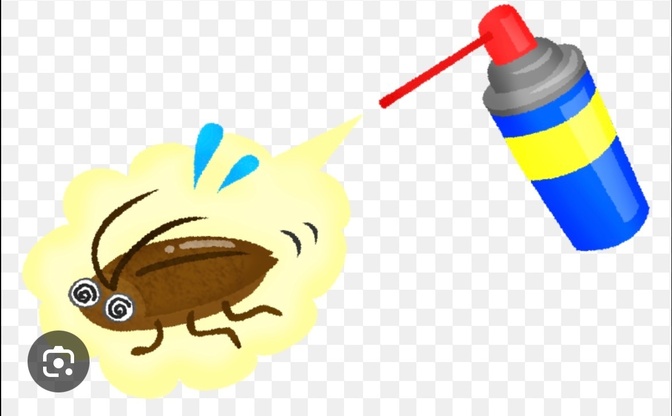 【今までで一番大きいゴキブリを退治！】