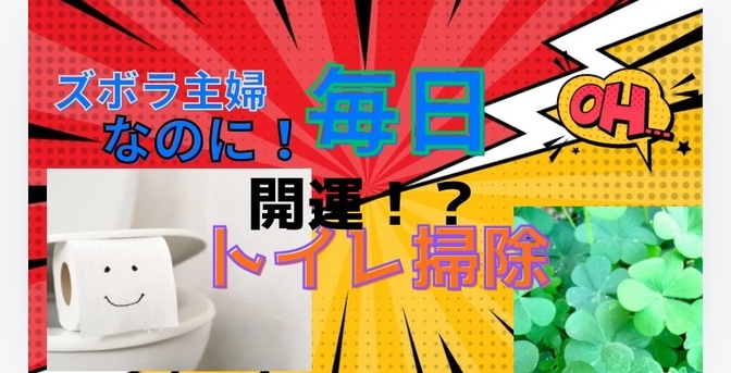 ズボラ主婦が900日以上毎日トイレ掃除をして開運