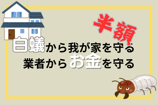 白蟻駆除が半額！相見積もり必須