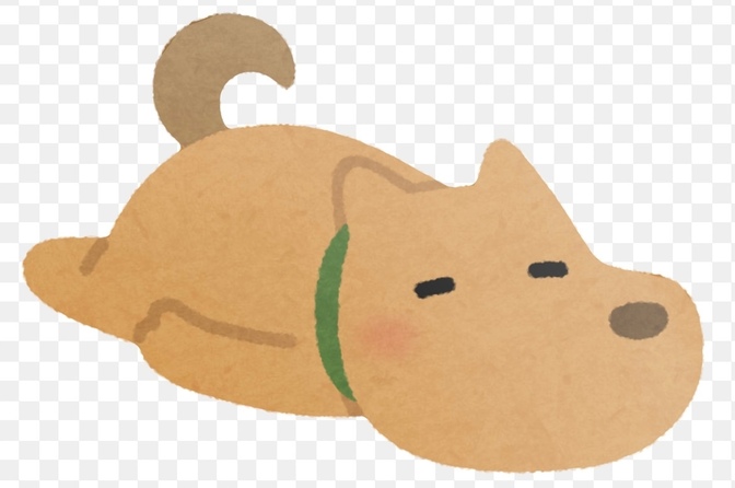 【毎日思う事】