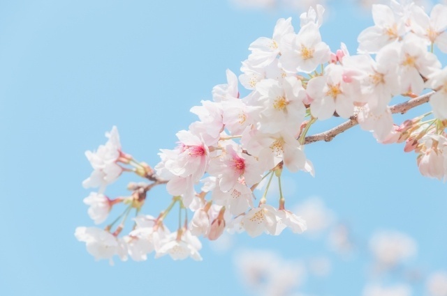 【簿記3級】3回落ちて、4回目で93点合格した話 | 独学よりもクレアールがおすすめ。