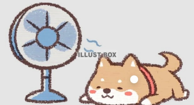 【扇風機】急に動かない！そんな時！