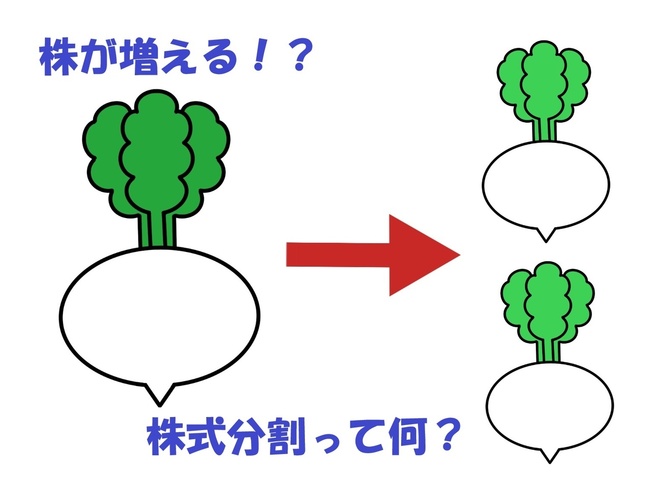 株式分割って何？