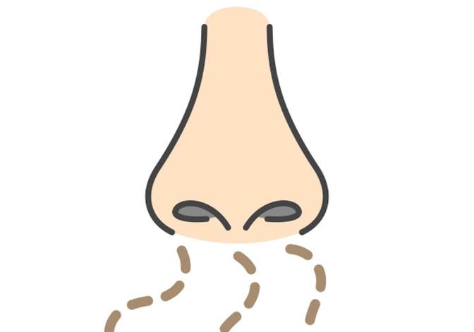 100均シャンプーブラシで頭皮の臭いケア