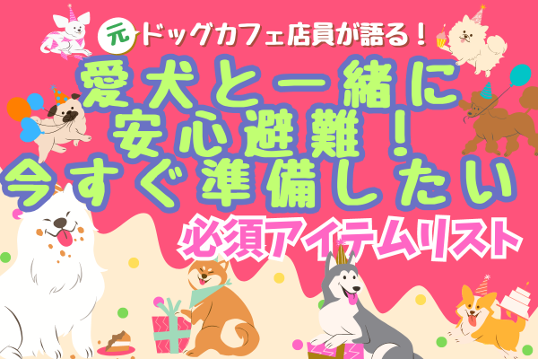 愛犬と一緒に安心避難！今すぐ準備したい必須アイテムリスト🐕️💼