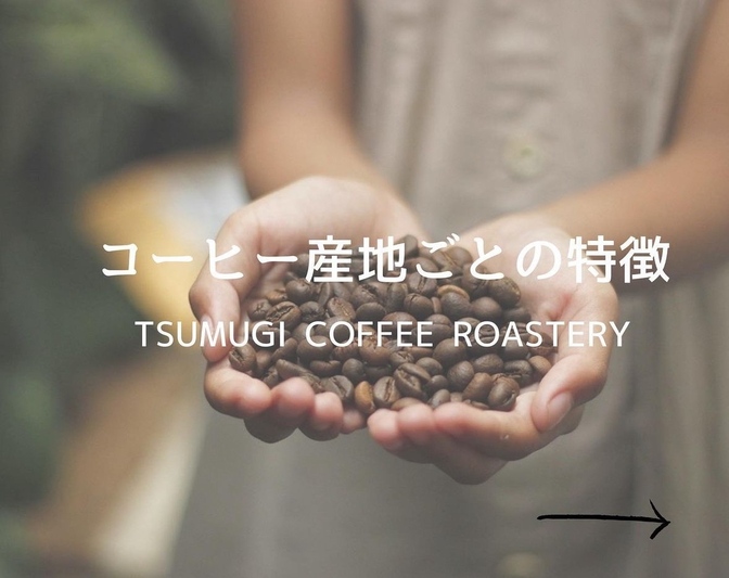 コーヒーを選ぶ際に役立つ☕️産地ごとの特徴