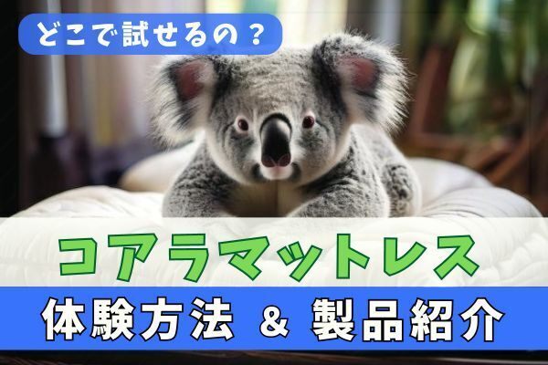 【どこで試せるの？】コアラマットレス体験方法と製品の種類を解説！