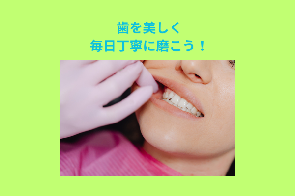 歯は命の次に大事！むし歯なく綺麗に磨こう！❕