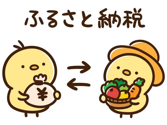 【ズボラな人必見】料理苦手な一人暮らし30代 ふるさと納税返礼品おすすめ２選
