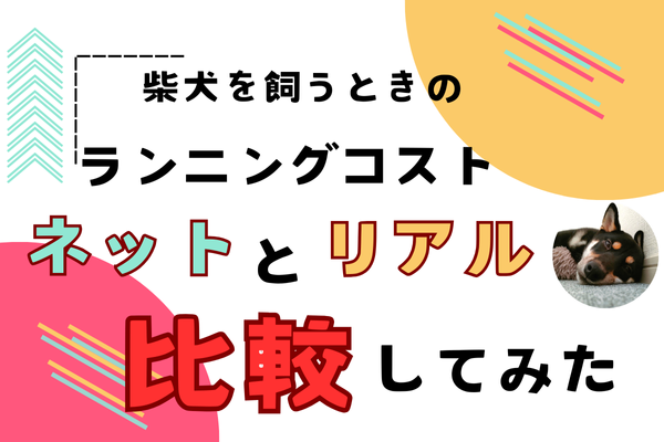 【ネットにある情報は本当？】犬にかかるお金、実際はどれくらい？年間費用の真実