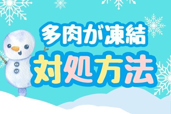 多肉を凍らせてしまった時の対処方法