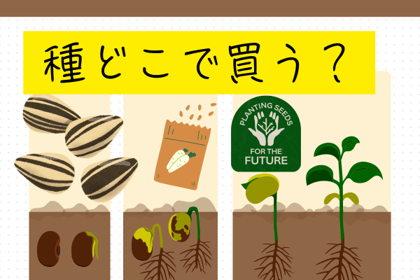 野菜の種はどこで買ったほうがいい？☹️種を販売している店の特徴⛏️　簡易的な物