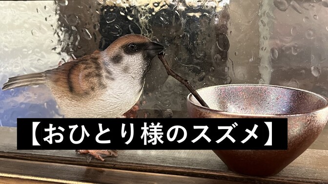 【おひとり様のスズメ】孤独なグルメの楽しみ方