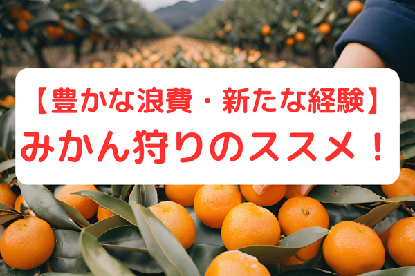 【豊かな浪費・新たな経験】みかん狩りのススメ！