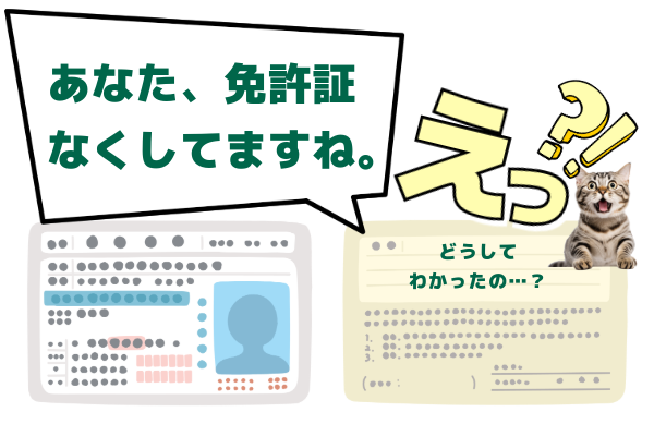 免許証の番号を見てわかること👀