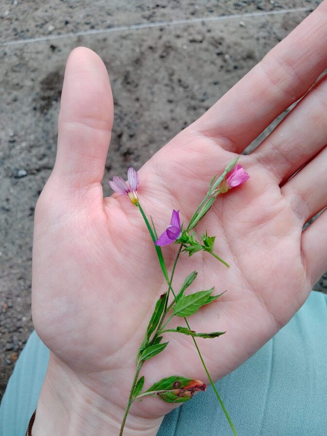 ハンドマッサージのメリット