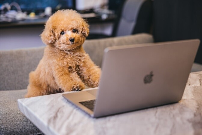 【楽天銀行】ネット銀行をつかいはじめてよかった3つのこと。