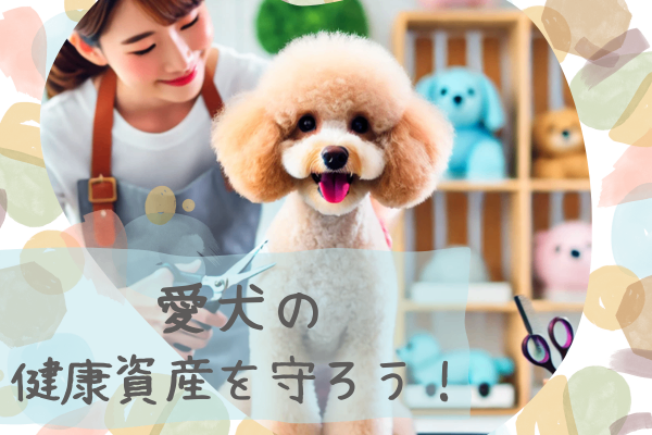 愛犬の健康資産を守ろう！なぜプロのトリミングが必要なのか？