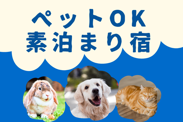 ペットと一緒に泊まれる！リーズナブルで快適な素泊まり宿