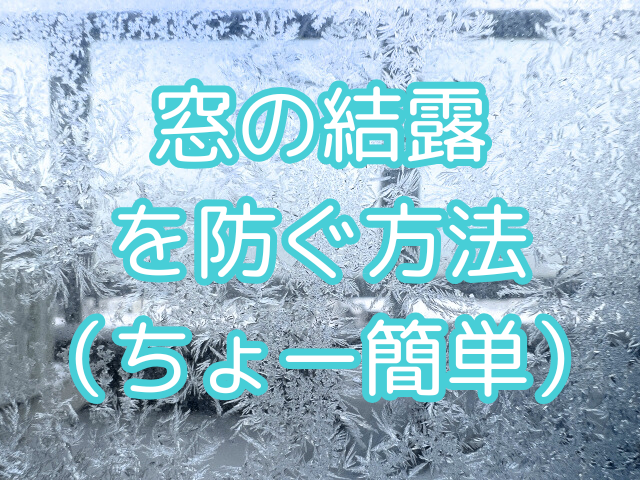 窓の結露を防ぐ超簡単な方法（暖房効果も🌞）