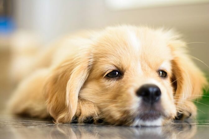 【厄介な人】テレアポで学んだ厄介な人の対処法