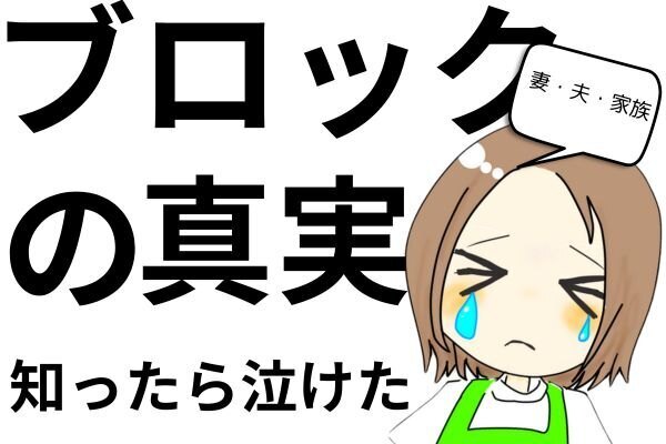 【ブロックの真実】 友人に指摘された成功法