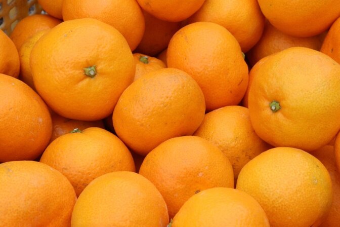 ９割の人が知らない美味しいみかんの特徴