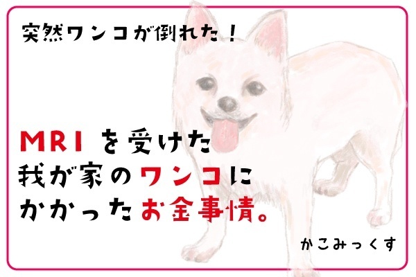 突然ワンコが倒れた！MRIを受けた我が家のワンコにかかったお金事情。
