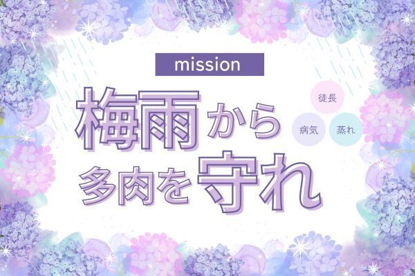多肉植物の梅雨時季に発生しやすいトラブルと対処方法