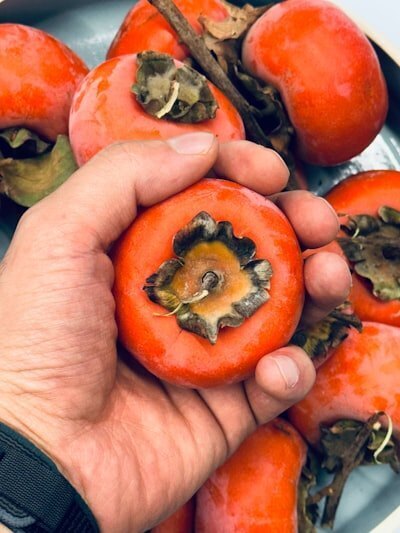 【時間節約術！】家にあるものを使って渋柿を簡単に甘くする方法