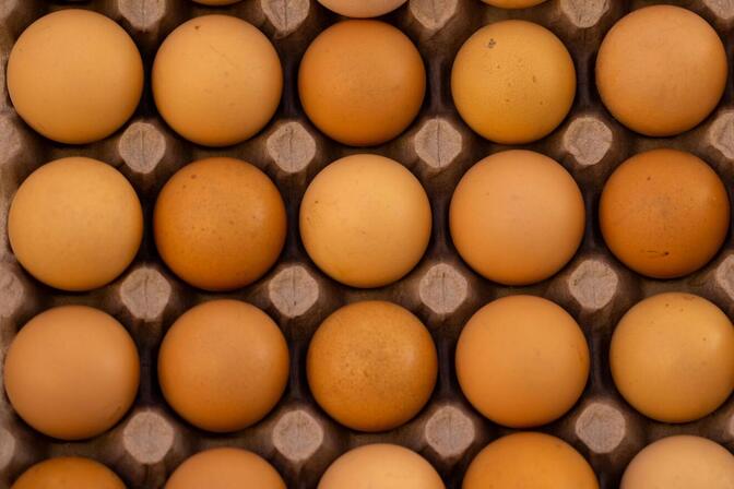 【食事・栄養・ダイエット③】タンパク質はなぜ重要か！トレーニー以外にも大事だよー！