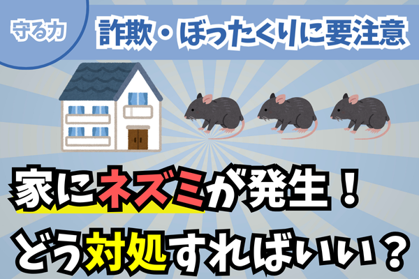 【守る力】経験談｜ネズミ駆除を専門業者に依頼するか、自分で対処するか。迷ってるあなたへ。