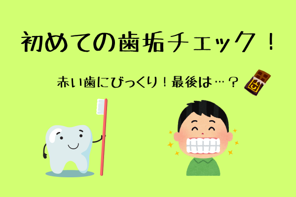 息子(小2)が、初めて歯垢チェック液を使ったら大発見 !?