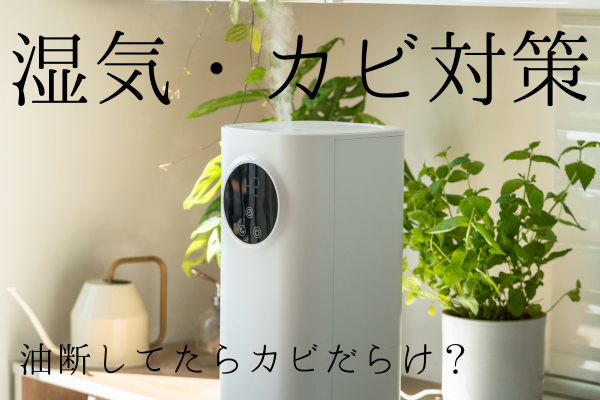 【湿気・カビ対策】暖房を使う冬こそ注意！油断してたら家具がカビだらけになった話