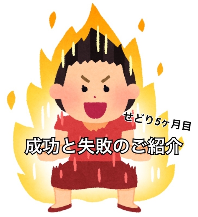 独学せどり5ヶ月目、実売データとともに成功と失敗のご紹介