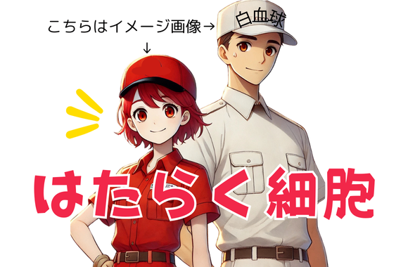 アニメでからだの仕組みが楽しく学べる♪『はたらく細胞』