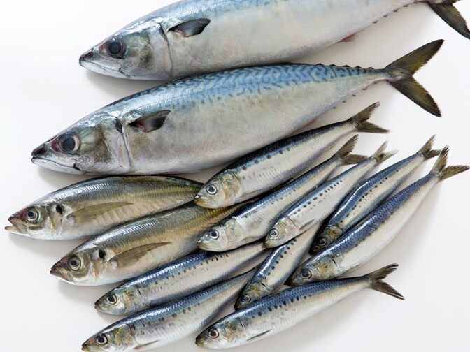 魚を食べると頭が良くなるってほんまでっか？