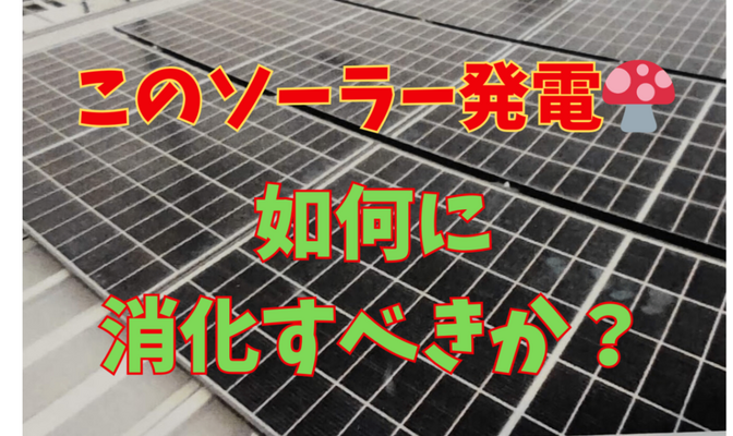  設置２年でソーラー発電が不調になったわが家、消化奮闘記を綴ります🍄