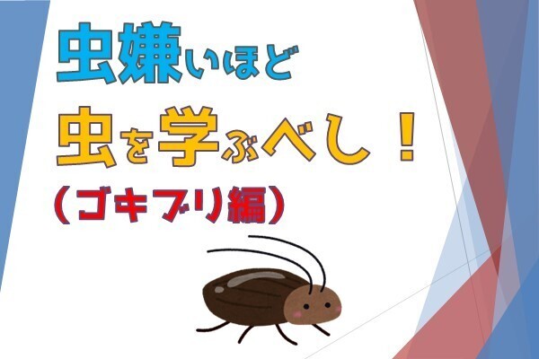 害虫退散！【ゴキブリ編】