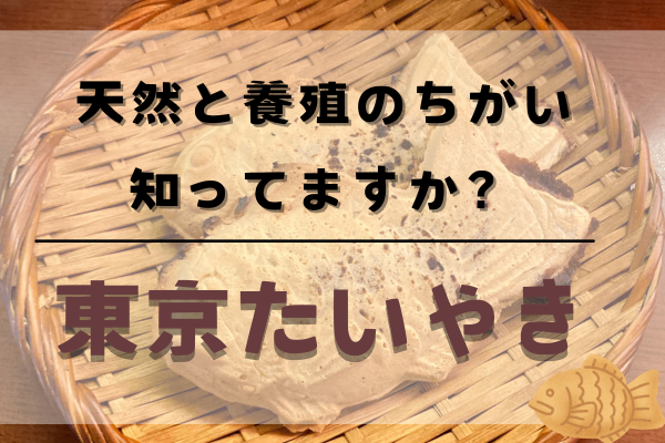 東京たい焼き5選『天然？養殖？』#手土産におすすめ