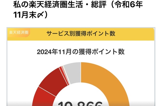 実体験㉝「楽天経済圏」で１年間「寄せ活・ポイ活」してきた、私の結果と考察。