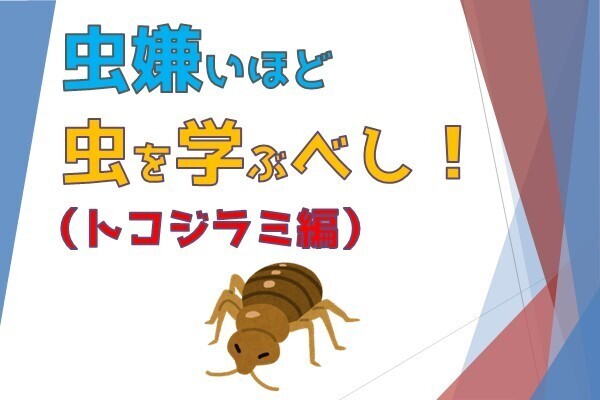 害虫退散！【トコジラミ編】
