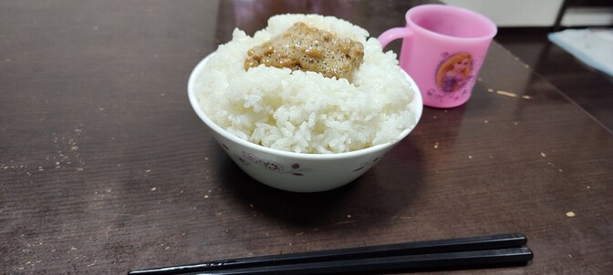 現役中学生が作る美味しいお弁当大作戦①#美味しいお米