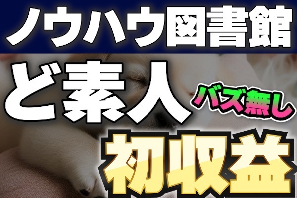 【バズ無し・ど素人】ノウハウ図書館の初収入 と 感じた事。