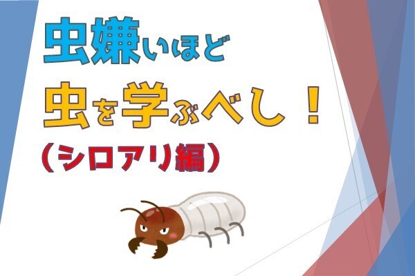 害虫退散！【シロアリ編】