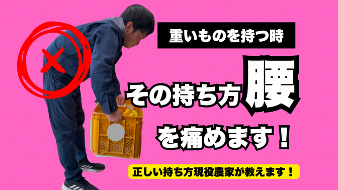 知らないと腰を痛めます!?農家が教える重いものの持ち方