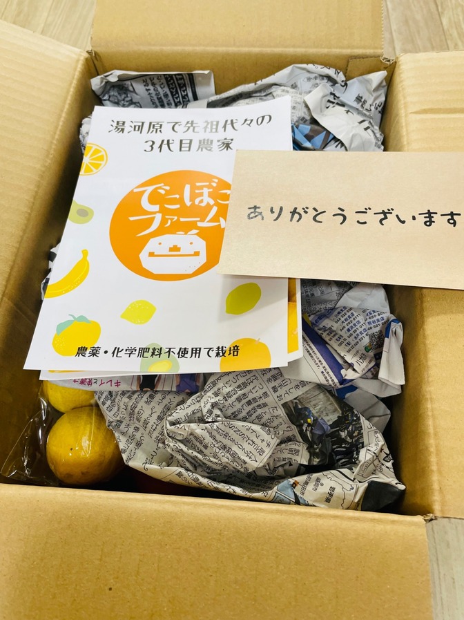 甘み濃厚！国産ブラッドオレンジ（３kg）【ご家庭用】ファーマーズマーケットで買ってみました！