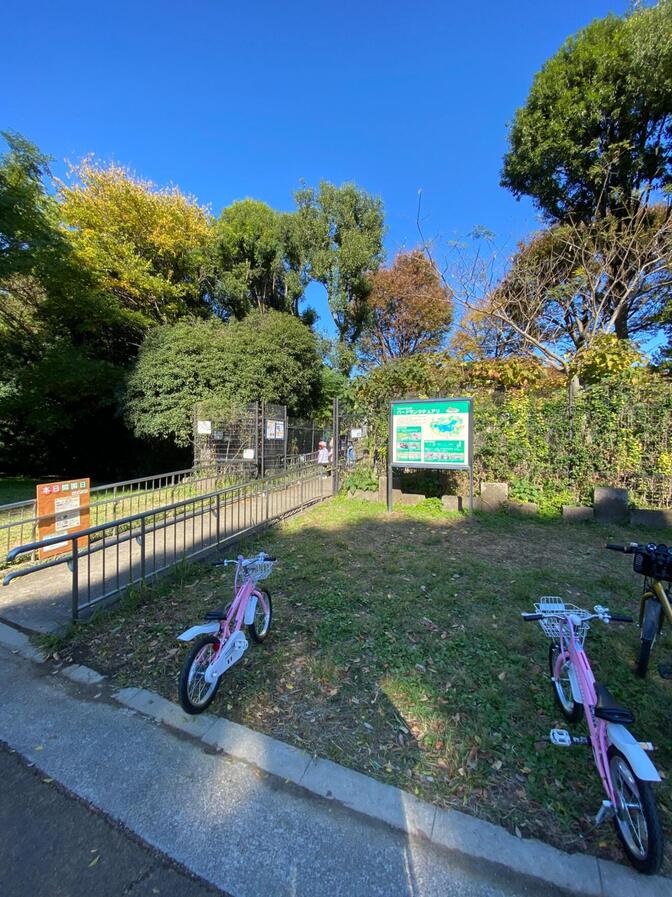 【バードウォッチング】やればわかる面白さを理解した『光が丘公園 バードサンクチュアリ』【無料の趣味】