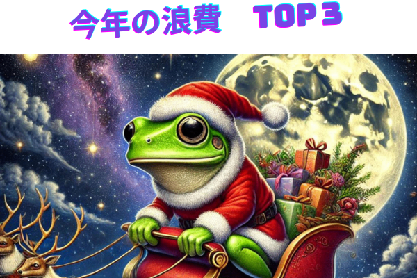 蛙が、今年満足した　出費　TOP３
